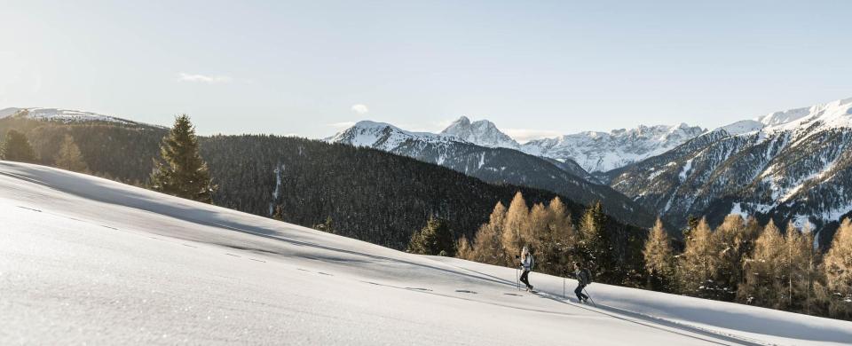 2019-02-luesner-alm-hannes-niederkofler-web-2260[2]