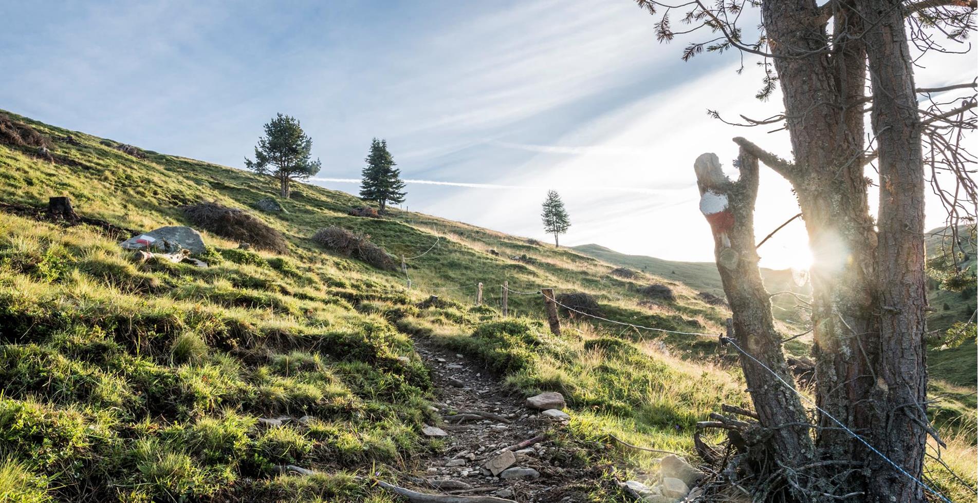 hn-luesner-alm-wandern-2016-4