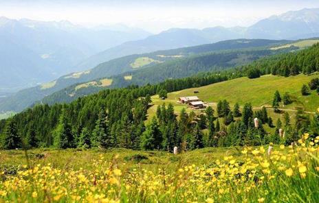 zu-den-gipfeln-der-luesner-alm