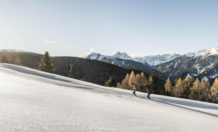 2019-02-luesner-alm-hannes-niederkofler-web-2260