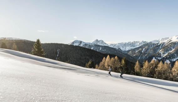 2019-02-luesner-alm-hannes-niederkofler-web-2260