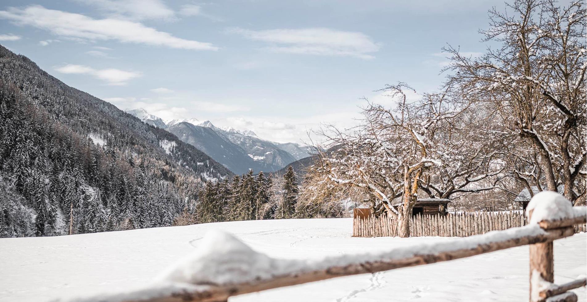 -c-hannes-niederkofler-winter-1-web-2913