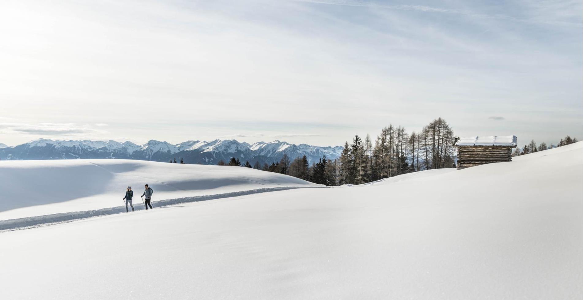 2019-02-luesner-alm-hannes-niederkofler-web-3064