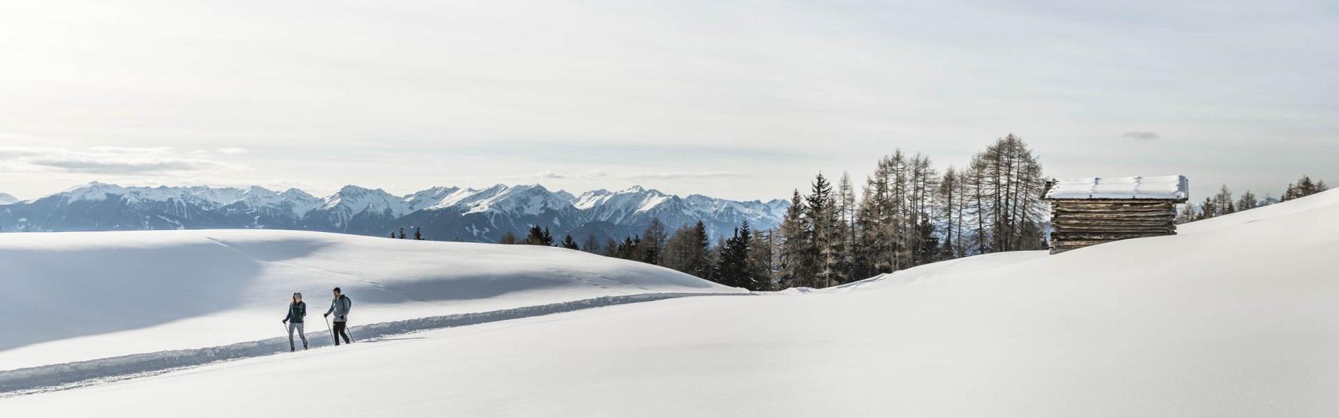 2019-02-luesner-alm-hannes-niederkofler-web-3064