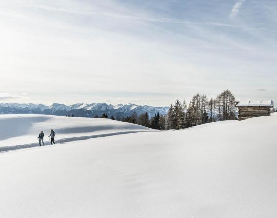 2019-02-luesner-alm-hannes-niederkofler-web-3064