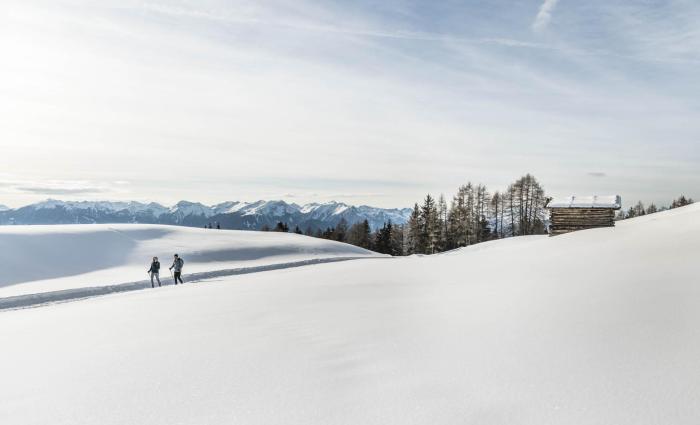 2019-02-luesner-alm-hannes-niederkofler-web-3064