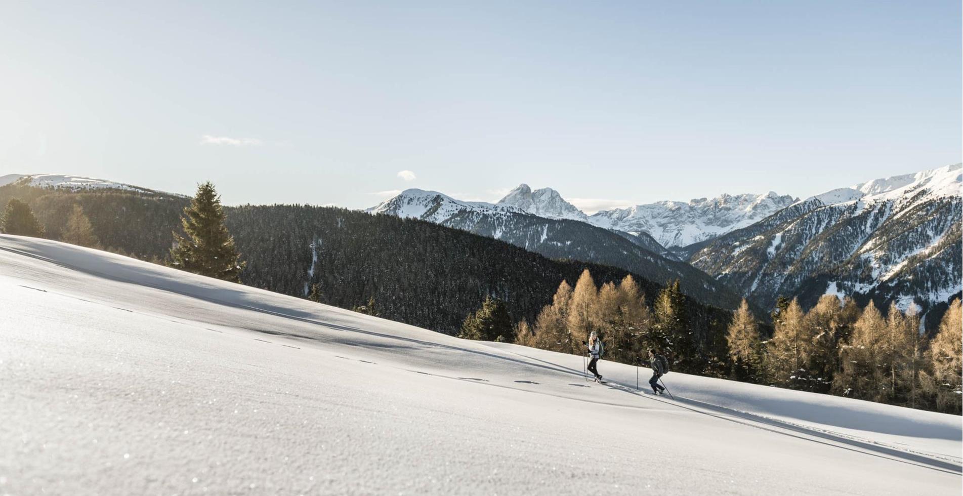 2019-02-luesner-alm-hannes-niederkofler-web-2260