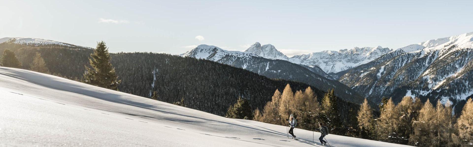 2019-02-luesner-alm-hannes-niederkofler-web-2260