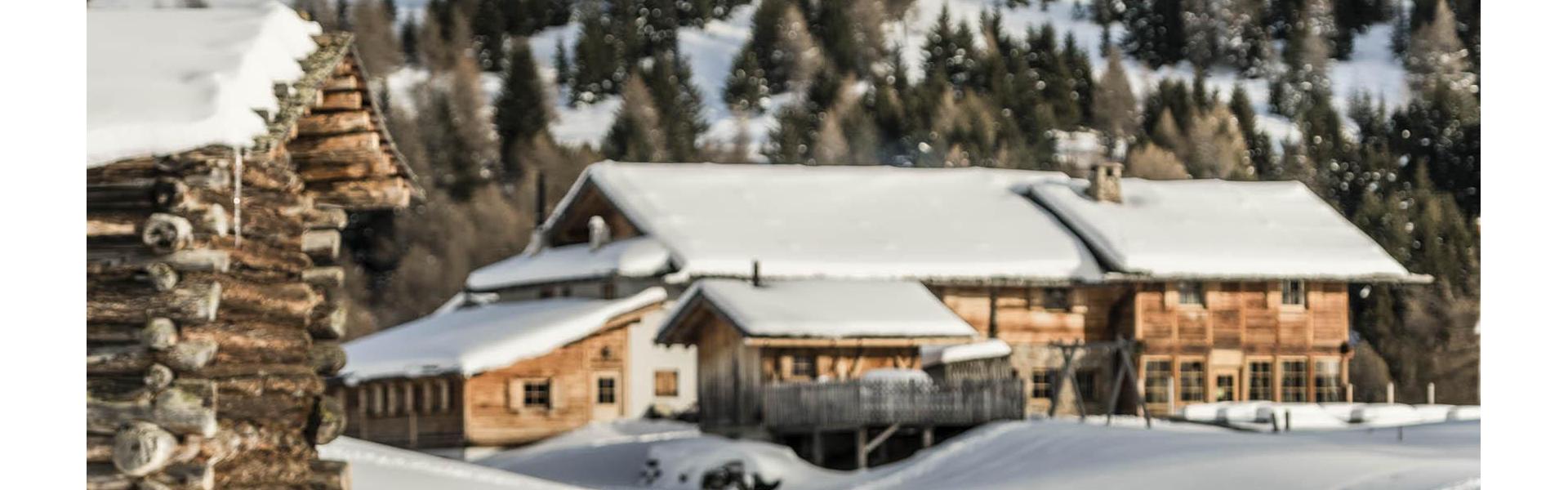 2019-02-luesner-alm-hannes-niederkofler-web-3135